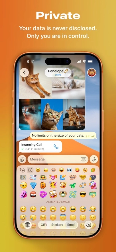 telegram免费原版图3