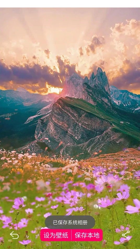 免费壁纸大全截图3