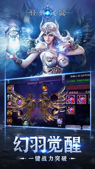 狂暴之翼手机版