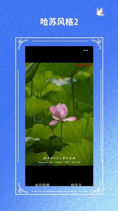 摄影师之眼免费版图3