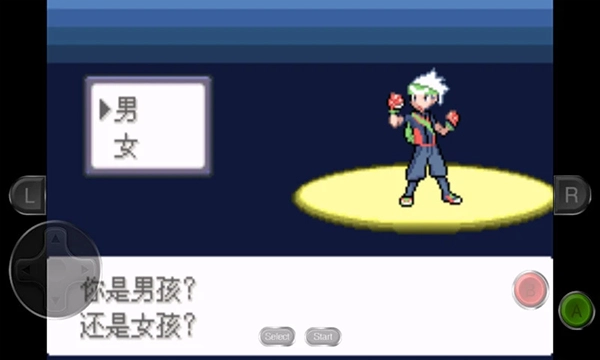 口袋妖怪永恒之沫通用版图2