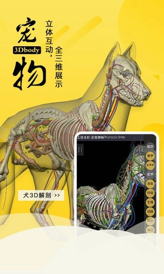 3Dbody解剖手机版图4