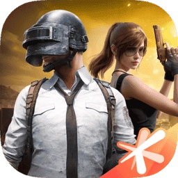 和平精英手游版