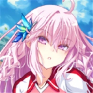 美少女足球队通用版