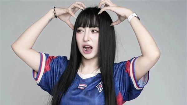 王者荣耀泰国女选手代打事件判决结果出炉：获刑3个月