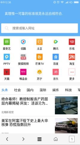 vip浏览器直装版图1