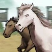 走上人生巅峰游戏官方最新版