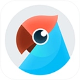 有道翻译官免费版