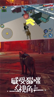 城市动物大冒险免费原版图3
