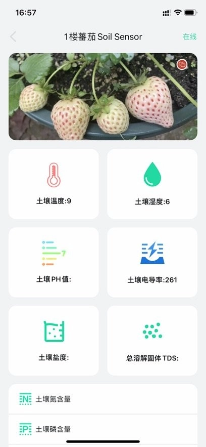 植物宝原版图3
