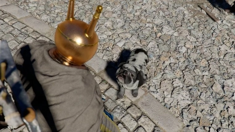 玩家发现《红色沙漠》的特殊机制：小动物竟会被溺死