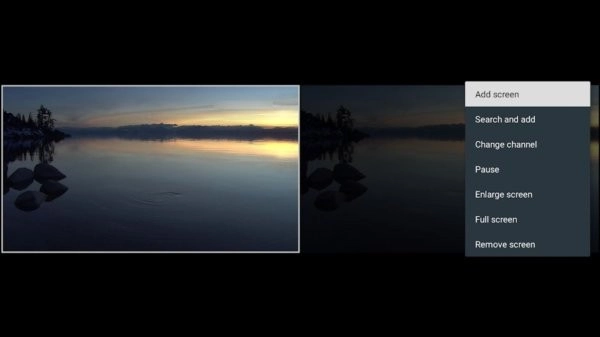 TiviMate手机版(1)