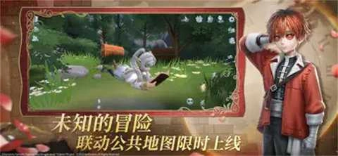 第五人格抖音版(2)