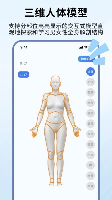 人体解剖学图谱免费版(3)
