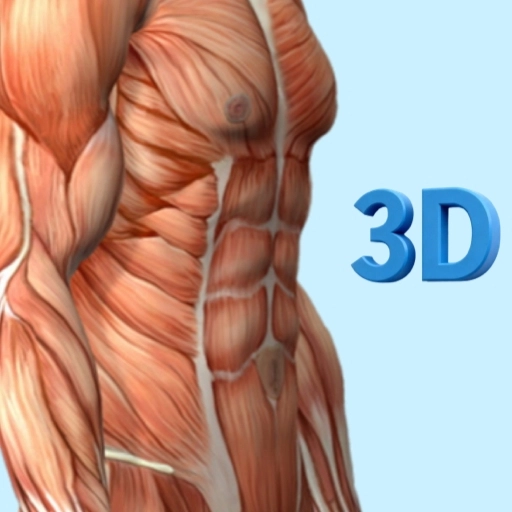 人体解剖学图谱免费版