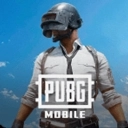 帕布鸡pubg