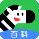 斑马百科