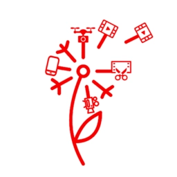 蒲公英素材软件官方最新版