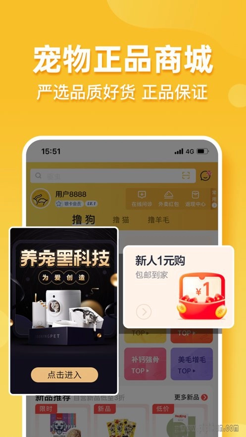 撸宠最新免费版图2