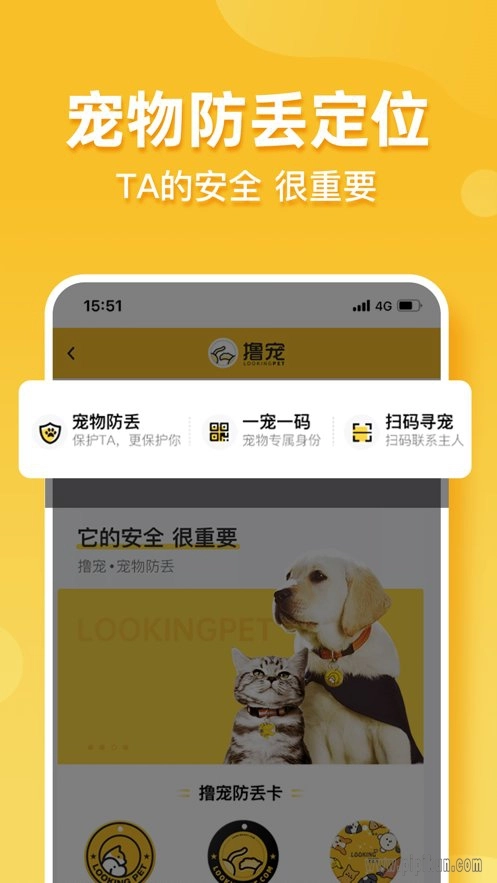 撸宠最新免费版图1