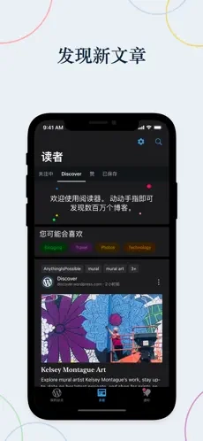 WordPress直装版图3