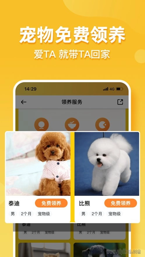 撸宠最新免费版图4
