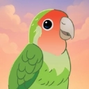 鸟类世界官方版