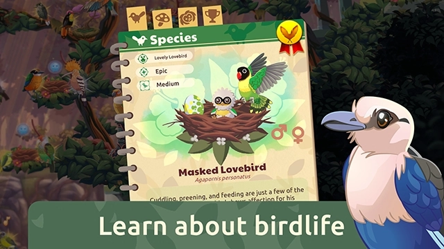 鸟类世界官方版图2