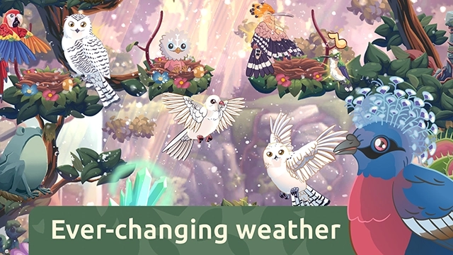 鸟类世界官方版图3