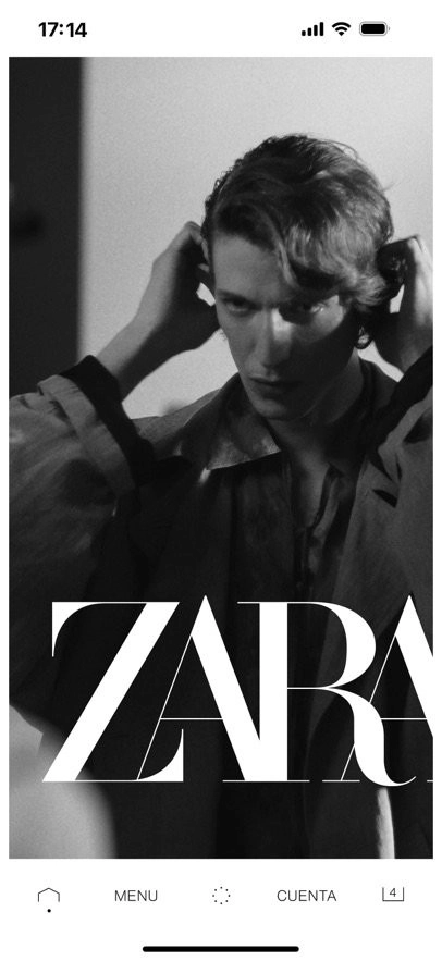 ZARA通用版图2