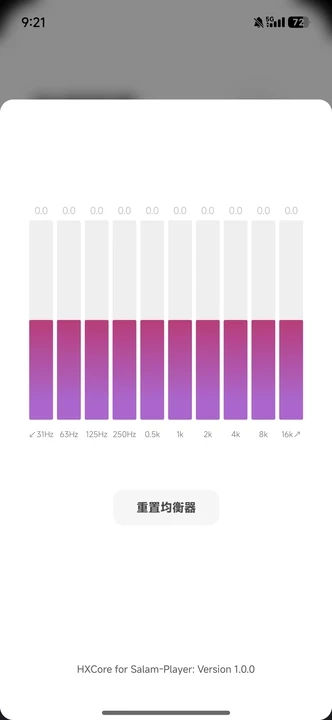Salam Player官方版图3