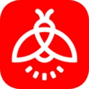 火萤视频壁纸2026通用版