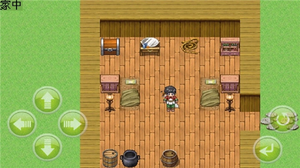 白金英雄坛说2原版图3