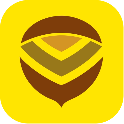 核桃云安卓直装版