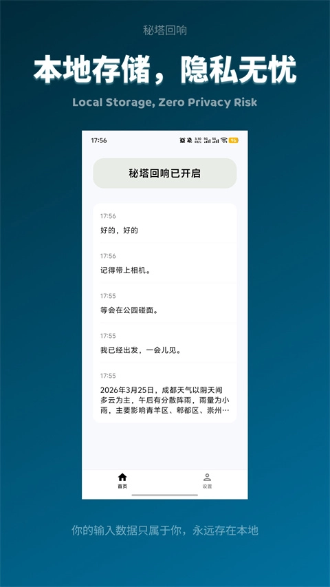 秘塔回响免费原版图2