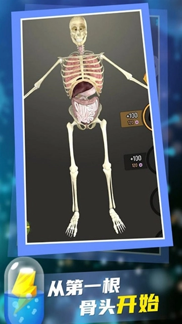 放置人类手机最新版图2