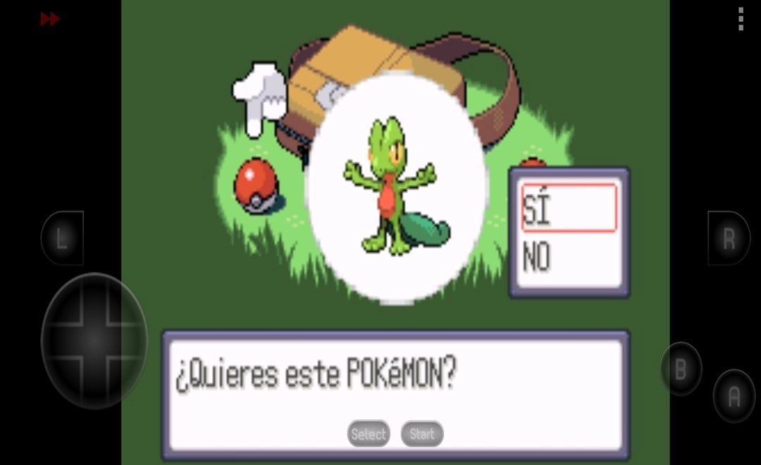 口袋妖怪红宝石安卓版图1