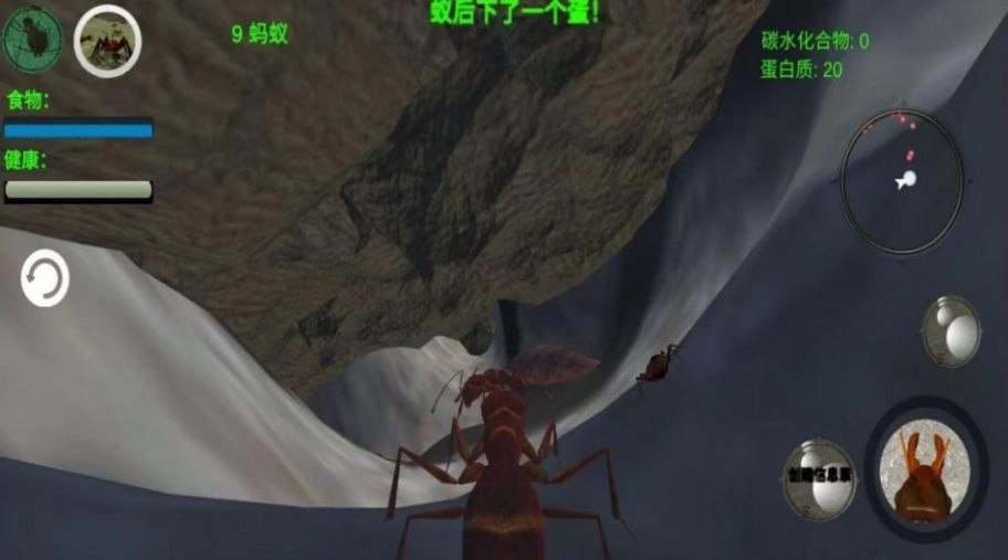 奇妙动物世界探险最新免费版图1