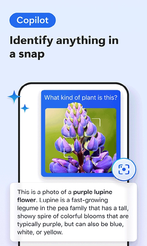 Edge Canary官方版图1