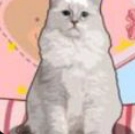 解压收纳神器安卓免费版