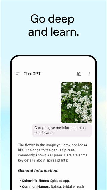 ChatGPT软件最新版图1