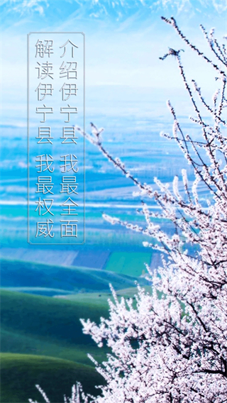 杏乡好地方(1)