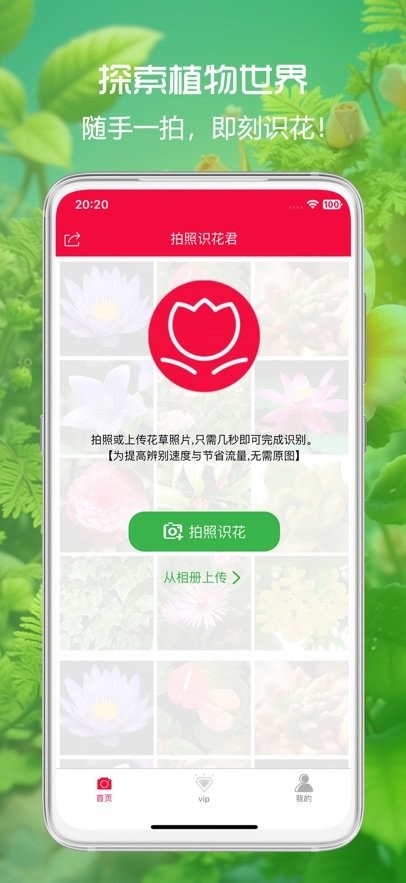 拍照识花君app(3)