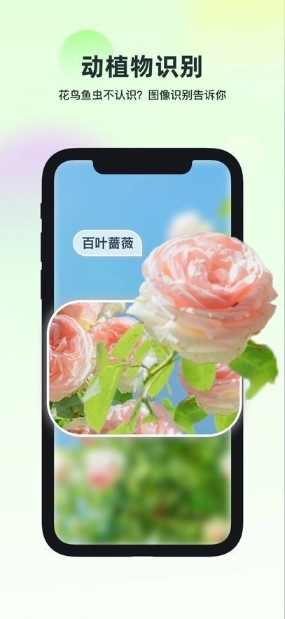 智能识万物软件手机正版图1