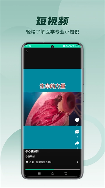 医维度解剖直装版图1