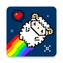 星咩视频壁纸