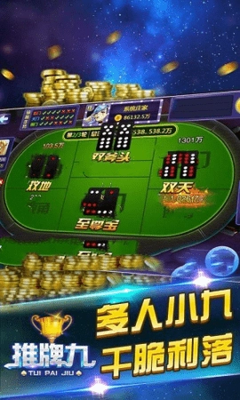 推牌9正版图3