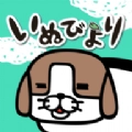 熊猫狗和猫游戏纯净最新版
