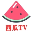 西瓜TV版