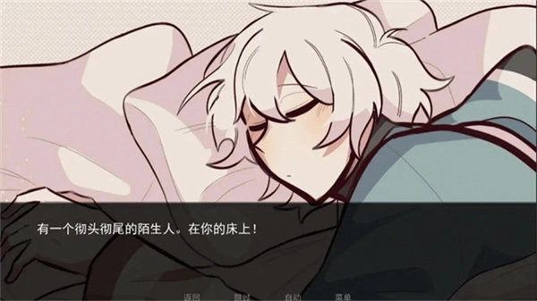 病娇抱枕游戏安装包图5